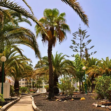 Lägenhet Aloe Apartment, Playa del Inglés